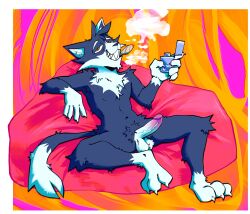 anthro balls black_body black_fur domestic_cat drugs erection felid feline felis fur genitals half-closed_eyes hi_res humanoid_genitalia humanoid_penis lighter male mammal marijuana marijuana_blunt mocheccino multicolored_body multicolored_fur narrowed_eyes penis sharp_teeth smile smirk smoking smoking_marijuana smug smug_face smug_grin solo teeth two_tone_body two_tone_fur vein veiny_penis white_body white_fur