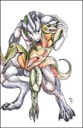 anal anal_sex anthro argonian balls canine claws dragonasis erection fur furry gay interspecies male male_only nude penetration penis reptile scalie sex skyrim tail the_elder_scrolls tongue video_games werewolf wolf