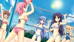 5girls akinomiya_akane background beach beige_skin bikini black_hair blonde_hair blue_eyes blue_hair brown_eyes brown_hair color female female_only game_cg group human ichinose_kokoro ichinose_misaki ima_mo_itsuka_mo_faruna_runa kamiya_tomoe long_hair mercedes_kanon mitsuki_aimi open_eyes pink_hair purple_eyes red_eyes short_hair standing swimsuit