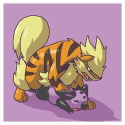 9_6 arcanine growlithe grumpig nintendo pokemon pokemon_(species) source_request year_request