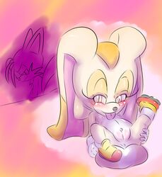 1boy 1girls af-js anthro blush body_fur color cream cream_the_rabbit female female_focus fox furry male rabbit sega sonic_(series) tails tongue toony vagina