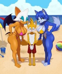 anthro bat_ears bat_wings beach beach_ball beach_umbrella bikini blush fox_ears fox_girl fox_tail huge_breasts krystal mascara massive_breasts multiple_girls nic0_robin69 older_female one_boy rouge_the_bat shorter_male sonic_(series) sonic_the_hedgehog_(series) star_fox tail_stroking tails_the_fox taller_female twintails two_females younger_male