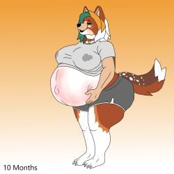 absurd_res anthro athletic_wear bodily_fluids breasts canid canine canis domestic_dog female fluffy fluffy_tail hi_res hyper hyper_pregnancy lactating mammal pregnant pregnant_female shiba_inu solo spitz tail thick_thighs zoey_the_shiba