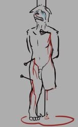 4_toes amputee anthro arrow_(weapon) asphalt_(artist) blood bodily_fluids bound canid canine canis disability dismemberment domestic_dog feet gore hi_res isaac_(asphalt) male mammal masochism nosebleed nude ranged_weapon solo standing tears tied_to_pole toes weapon wounded