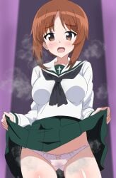 black_neckerchief blush bow bow_panties brown_eyes brown_hair clothes_lift commentary_request cowboy_shot crotch_seam female girls_und_panzer green_skirt lifting_own_clothes long_sleeves looking_at_viewer miniskirt neckerchief nishizumi_miho ooarai_school_uniform open_mouth panties partial_commentary pleated_skirt sailor_collar school_uniform serafuku shirt short_hair skirt skirt_lift solo sora_nyan standing steam underwear white_panties white_sailor_collar white_shirt