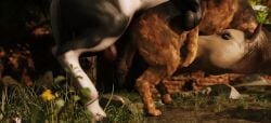 16:9 3d_(artwork) 3d_animation ambiguous_feral ambiguous_gender anal anal_sex animal_genitalia animal_penis animated ball_focus balls bisexual body_part_in_ass body_part_in_mouth bouncing_balls broken_legs canid canine canine_genitalia canine_penis canis clinging digital_media_(artwork) doggy_style domestic_dog duo_focus equid equine equine_genitalia equine_penis erection fellatio female female_penetrated feral feral_on_bottom feral_on_feral feral_on_top feral_penetrated feral_penetrating feral_penetrating_feral from_behind_position fur genital_focus genitals group group_sex horse huge_filesize interspecies knot knotted_penis large_insertion low-angle_view lucky_pierre male male/female male/male male_feral male_penetrated male_penetrating male_penetrating_female male_penetrating_male mammal oral oral_penetration oral_while_penetrated penetration penile penile_penetration penis penis_focus penis_in_ass penis_in_mouth realistic_feral sex short_playtime sound tagme threesome trio trioami260 underside_view video video widescreen worm's-eye_view
