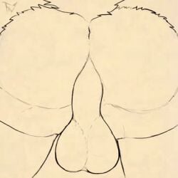 anal_wink animated anthro anus ass backsack balls canid canine canis fellowwolf fidelis_(fellowwolf) genitals hybrid low_res male male_only mammal movement rear_view retracted_balls solo testicles_clench wolf