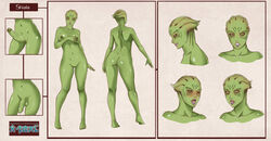 1futa 1girls alien asari blush character_sheet female futanari green_skin looking_at_viewer mass_effect model_sheet nude shiala x-teal