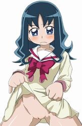 1girls black_hair blush clothing dark_blue_eyes erika_kurumi heartcatch_pretty_cure! jun lifting_dress looking_at_viewer no_panties partially_clothed pretty_cure pussy shaved_pussy tagme uncensored