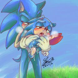 2011 anal classic_sonic furry furry_only gay hedgehog male multiple_males sega soina sonic_(series) sonic_generations sonic_team sonic_the_hedgehog sonic_the_hedgehog_(series) tagme yaoi