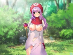 clothing dragon_quest dragon_quest_ii dress haramofuru large_breasts panties princess_of_moonbrook tagme torn_clothes