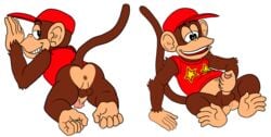 boner color diddy_kong donkey_kong_(series) erection furry kong male male_only monkeysuit nintendo solo