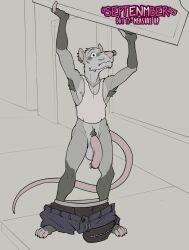 Booru post from rule34.xxx