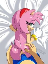 amy rose from sega by spindasher98