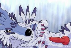 aledonrex digimon garurumon knot male_only tagme