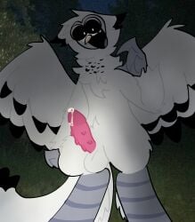 owl (99 nights in the forest) from 99 nights in the forest by artist request