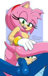 amy rose from sega by spindasher98