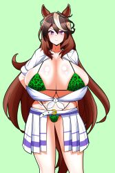 symboli rudolf (umamusume) from umamusume