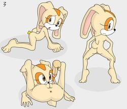 3pac color cream cream_the_rabbit female female_only fur furry rabbit sega solo sonic_(series)