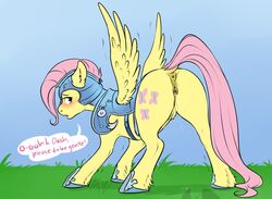 anus armor ass cartoonlion equine equine_pussy female feral fluttershy_(mlp) friendship_is_magic horse my_little_pony pony