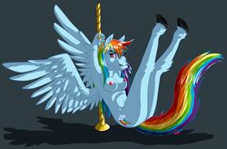 friendship_is_magic my_little_pony rainbow_dash_(mlp) smooth_skin tagme zenia