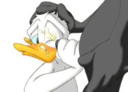 donald duck from disney