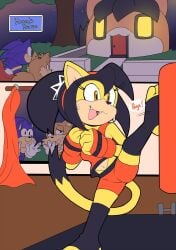 anthro athletic_wear bra canid canine clothing domestic_cat eulipotyphlan felid feline felis fox hedgehog honey_the_cat mammal sega senshion sonic_(series) sonic_the_fighters sonic_the_hedgehog sonic_the_hedgehog_(series) tails_the_fox