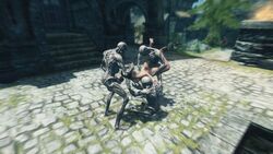 3d discombobulation skyrim tagme the_elder_scrolls