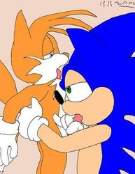 furry hedgehog male multiple_males rave_roo sonic_(series) sonic_the_hedgehog sonic_the_hedgehog_(series) sonic_the_hedgehog_2 tagme tails yaoi