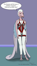 2011 anthro dinosaucers female lingerie osprey_hawk tagme teryx