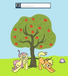 :( apple applejack_(mlp) bloomberg_(mlp) equine fluttershy_(mlp) friendship_is_magic fruit horn horse my_little_pony pegasus penetration pony princess_celestia_(mlp) smooth_skin tree tumblr twilight_sparkle_(mlp) unicorn what wing_boner wings wood