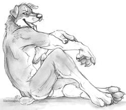 anthro blackteagan canine fur furry furry_only hindpaw male male_only paws penis sitting smile solo tail