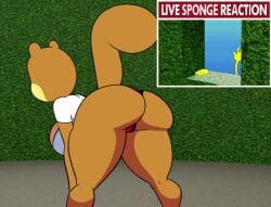 1girls animated anthro ass ass_cheeks ass_clapping ass_close-up ass_closeup ass_focus background_music bedroom_eyes big_ass big_booty big_butt black_eyelashes booty booty_shorts breasts brown_body brown_eyes brown_fur bubble_ass bubble_butt butt butt_close-up butt_focus clapping_ass clapping_buttocks clapping_cheeks close-up close-up_ass close_up close_up_ass close_up_view closeup closeup_view digital_drawing_(artwork) digital_media_(artwork) duo eyelashes fat_ass fat_butt female female_focus hips huge_ass huge_butt large_ass large_breasts live_reaction_(meme) looking_back male massive_ass nickelodeon sandy_cheeks short_playtime shorter_than_30_seconds smooth_skin sound sound_edit sound_effects spongebob_squarepants spongebob_squarepants_(character) springtron squirrel squirrel_humanoid squirrel_tail tagme tan_fur tansau thick_thighs twerking underwater video wide_hips