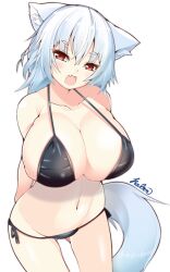 animal_ears arms_behind_back bad_id bad_pixiv_id bikini black_bikini blush breasts cleavage collarbone female huge_breasts inubashiri_momiji kabun_(suzuna_jct) looking_at_viewer momiji_inubashiri navel oerba_yun_fang open_mouth red_eyes short_hair side-tie_bikini_bottom signature simple_background smile solo strap_gap swimsuit tail touhou white_background white_hair wolf_ears wolf_tail