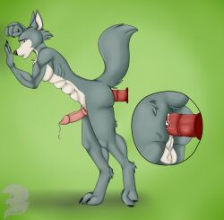 against_surface against_wall anthro beastars canid canine canis hi_res legoshi_(beastars) male mammal penetration shade_art solo toy wolf