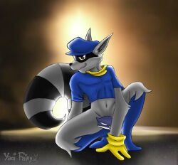 sly_cooper_(series) sly_cooper yaoifairy 2007 video_games 1boy solo sucker_punch_productions male male_only