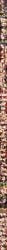 1girls ai_generated angry_expression arms_held_back ass black_lingerie blowjob blush bouncing_breasts breast_grab breast_sucking breasts cowgirl_position creampie crying crying_rape_victim cum cum_in_mouth cum_in_pussy cum_inside cum_on_body cum_on_breasts cum_on_face cum_on_hair deepthroat doggy_style double_penetration earrings forced_oral forced_sex forced_submission gangbang gangrape groping_breasts hair_bun hair_grab hair_pull head_grab huge_breasts humiliation iwatani_naofumi jewelry kissing kissing_while_penetrated lace_lingerie legs_up lingerie mature_female milf mirelia_q_melromarc missionary_position multiple_males oral_sex prone_bone pulling_hair queen rape raped raped_female reverse_spitroast sex_from_behind spread_anus spread_legs spreading standing_sex tate_no_yuusha_no_nariagari tears tears_of_desperation