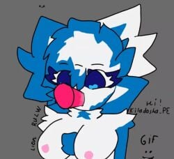 animated animation blue_body blue_eyes blue_fur boobs breasts cat_girl cat_humanoid catgirl eyes_open female furry gif girl kiladosha kit kit_community kit_community_v2 looking_at_partner looking_at_penis mouth penis penis_in_mouth sucking sucking_penis tiktoker white_body white_fur youtuber