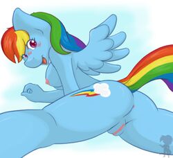 anus blue_fur equine female friendship_is_magic looking_at_viewer my_little_pony nude pegasus pose pussy rainbow_dash_(mlp) shadowhulk smooth_skin solo wings