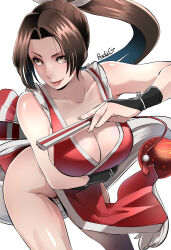 mai shiranui from fatal fury by butcha-u