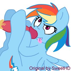 animal_ears cutie_mark equine erection female friendship_is_magic handjob horse male multicolored_hair my_little_pony pegasus penis pony purple_eyes rainbow_dash_(mlp) rainbow_hair sex smooth_skin straight sweethd tongue tongue_out wing_boner wings