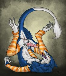 1boy amber_eyes arm_warmers ass balls blue claws collar cum cum_on_face cumshot erection facial_cumshot hair leg_warmers male male_only murrkus nude open_mouth orgasm penis sergal smile solo spottyjaguar stockings tail tongue