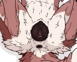 2026 anatomically_correct anatomically_correct_genitalia anatomically_correct_vulva animal_genitalia animal_vulva anus black_anus black_vulva brielle_(wolffylegend) butt canid canine canine_genitalia canine_vulva canis digital_media_(artwork) dipstick_tail dirty.paws faceless_character faceless_female faceless_feral female female_feral feral fluffy fluffy_tail fur genital_focus genitals legs_up lying mammal markings multicolored_body multicolored_fur on_back presenting presenting_hindquarters presenting_vulva red_body red_fur red_tail solo spread_legs spreading tail tail_markings torso_shot vulva vulva_focus white_body white_fur white_tail_tip wolf
