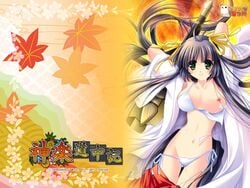 arashiyama_ibuki bikini breasts cum female kagura_douchuuki miko nipples open_clothes open_shirt shirt swimsuit wallpaper wardrobe_malfunction yamamoto_kazue