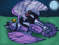 2011 avian collar female feral gryphon isil legs_up moon night on_back outdoors purple pussy solo wings