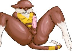 1boy anus balls erection male male_only penis pokemon pokemon_bw sheath solo spreading unknown_artist watchog