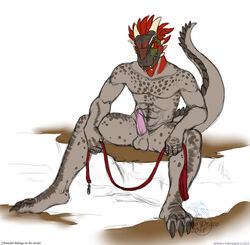 1boy abs argonian balls claws collar completely_nude curiodraco feathers hindpaw holding_leash horn leash lizard looking_at_viewer male male_only naked nude paws penis presenting presenting_penis reptile scalie sitting skyrim solo solo_male spread_legs tagg tail testicles the_elder_scrolls video_games