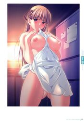 atelier_kaguya breasts color female human kanzaki_asuka medorei naked_apron nipples pussy_juice wet