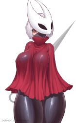 hornet (hollow knight) from hollow knight by noaqin