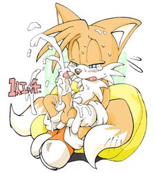 1boy animal_ears anthro balls big_penis blue_eyes blush canine color cum cumshot cute erection erosuke fox fur furry furry_tail male male_only masturbation multiple_tails nude orange_fur orgasm penis sega shoes solo sonic_(series) tail tails